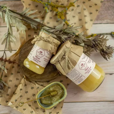 Miód Nawłociowy 380g Miody Dworskie