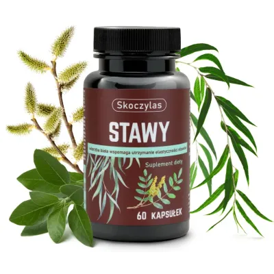 Stawy kadzidłowiec, wierzba, ashwagandha, sosna 60kaps Skoczylas
