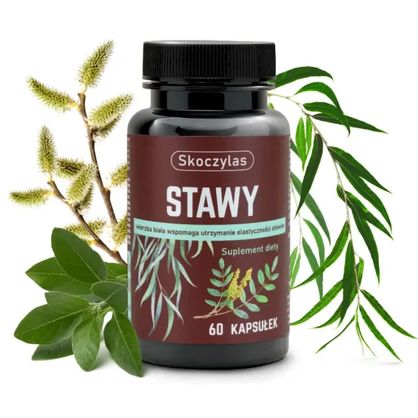 Stawy kadzidłowiec, wierzba, ashwagandha, sosna 60kaps Skoczylas