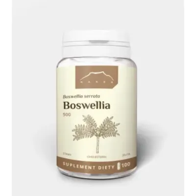 Boswellia 500mg 100kaps Nanga