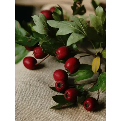 Głóg owoc 250g Nanga