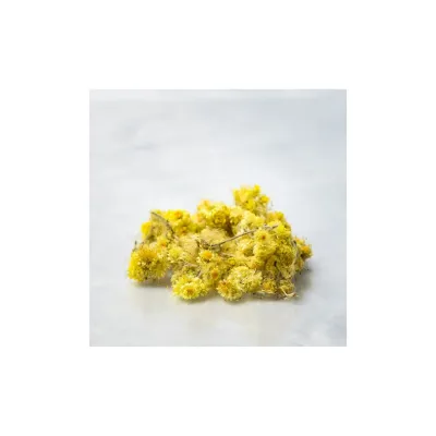 Kocanka kwiat dziko rosnąca 25 g Nanga