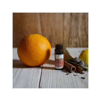 Ochrona olejek mieszanka olejków eterycznych 10ml Nanga