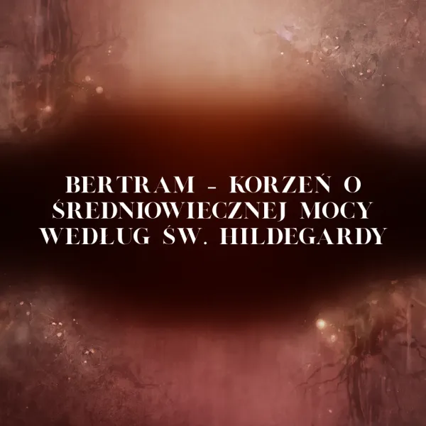 Bertram – korzeń o średniowiecznej mocy według św. Hildegardy