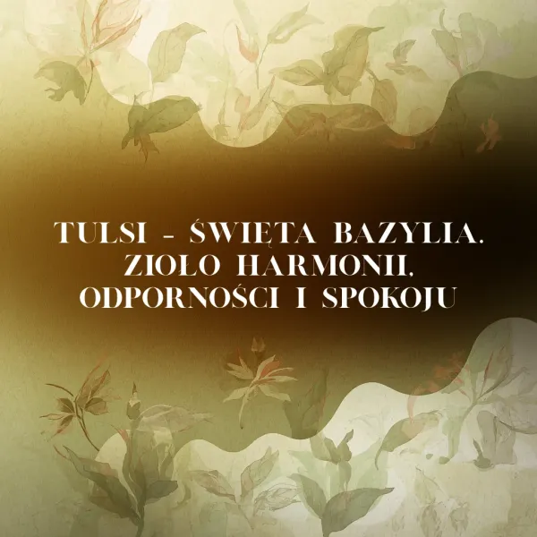 Tulsi – Święta Bazylia. Zioło harmonii, odporności i spokoju